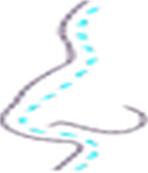 جراحی بینی (رینوپلاستی)